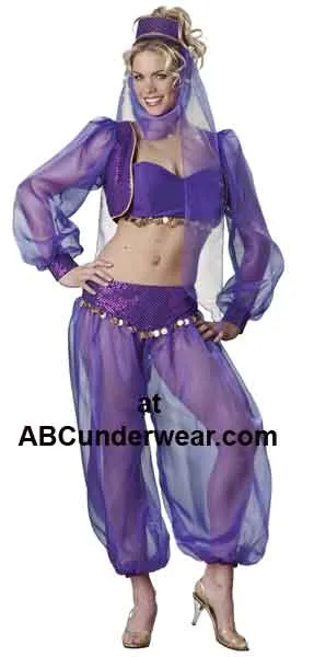 Deluxe Harem Fantasy Costume