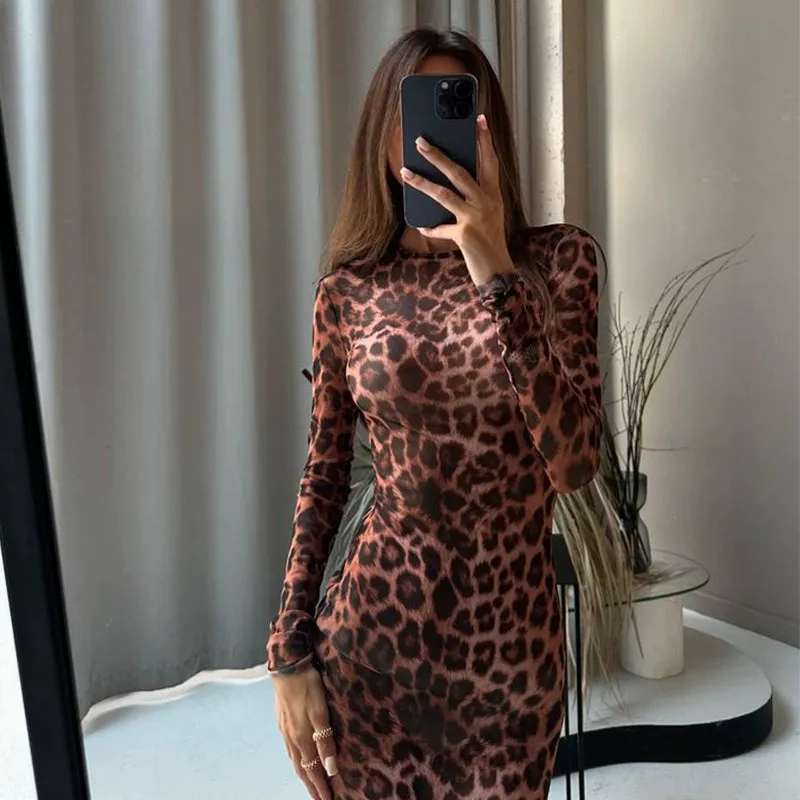 Eveline Leopard Print Long Sleeve Dress